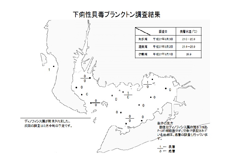 下痢性貝毒原因プランクトン調査結果（平成27年6月1～3日） 