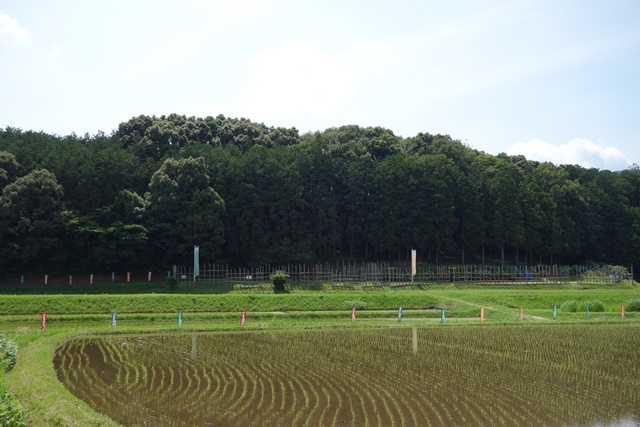 再現された馬防柵全景