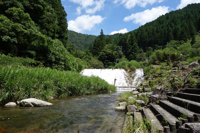 階段から川辺へ