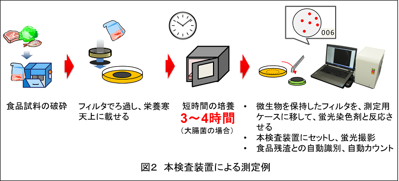 図2　本検査装置による測定例