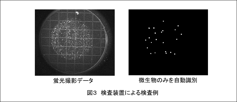 図3　検査装置による検査例