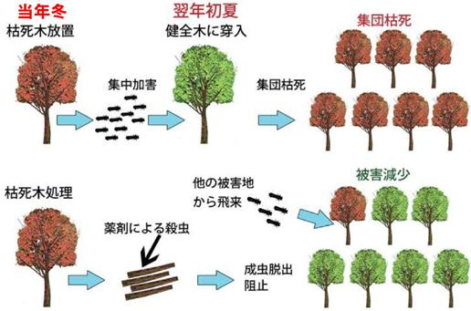 伝染病の被害を減らすには