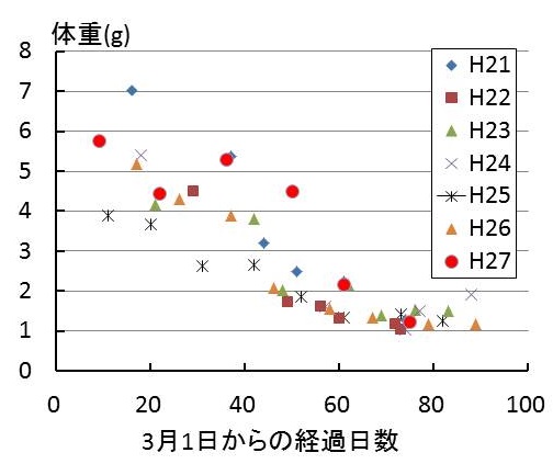 平成21年から27年における、遡上アユの体重変化を示した図