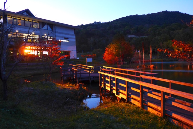 茶臼山高原 矢筈池 周辺の紅葉がライトアップされます 愛知県