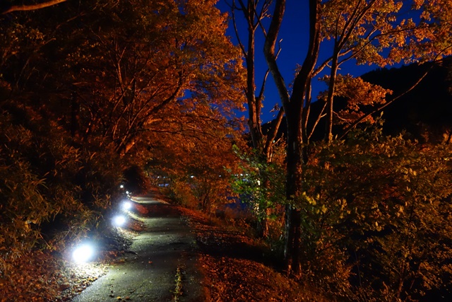 遊歩道