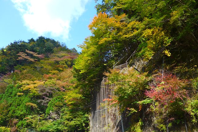 絶壁の紅葉