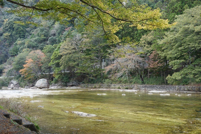 愛知県民の森 と 鳳来峡 の紅葉 愛知県