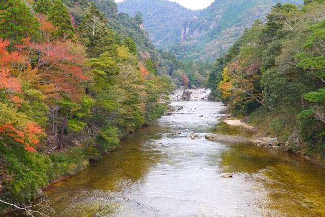 愛知県民の森 と 鳳来峡 の紅葉 愛知県