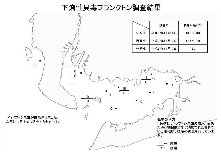 下痢性貝毒原因プランクトン調査結果（平成27年11月17～18日） 