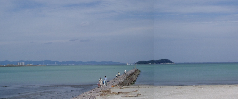 2007年7月、蒲郡市地先で発生した苦潮