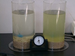 7時間後