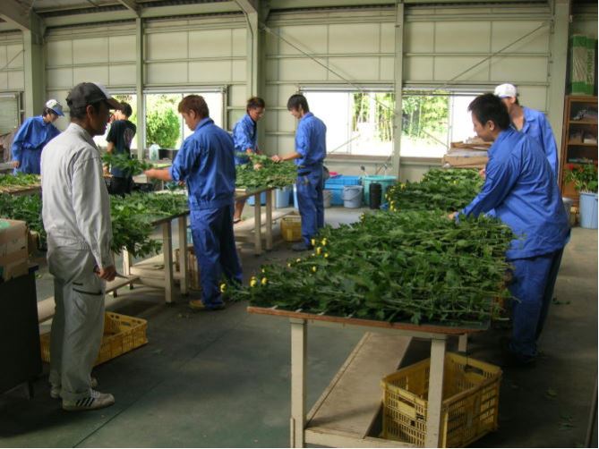 出荷作業