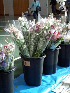 「長持ちする」と好評な直売の花束