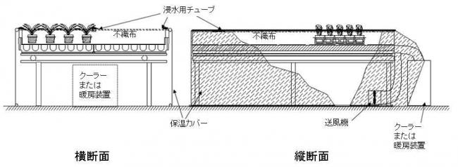 局所温度調節装置の構造