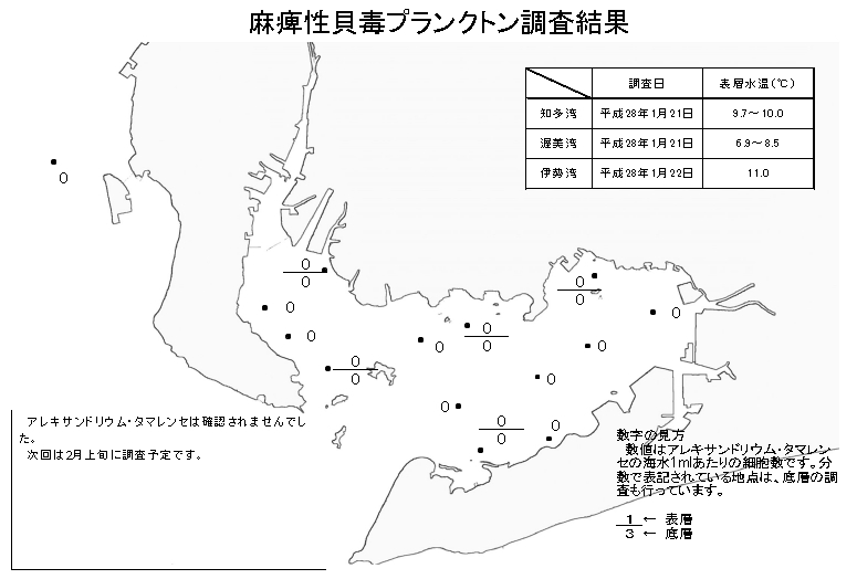 麻痺性貝毒プランクトン調査結果060122