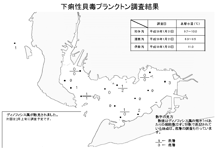 下痢性貝毒プランクトン調査結果160122