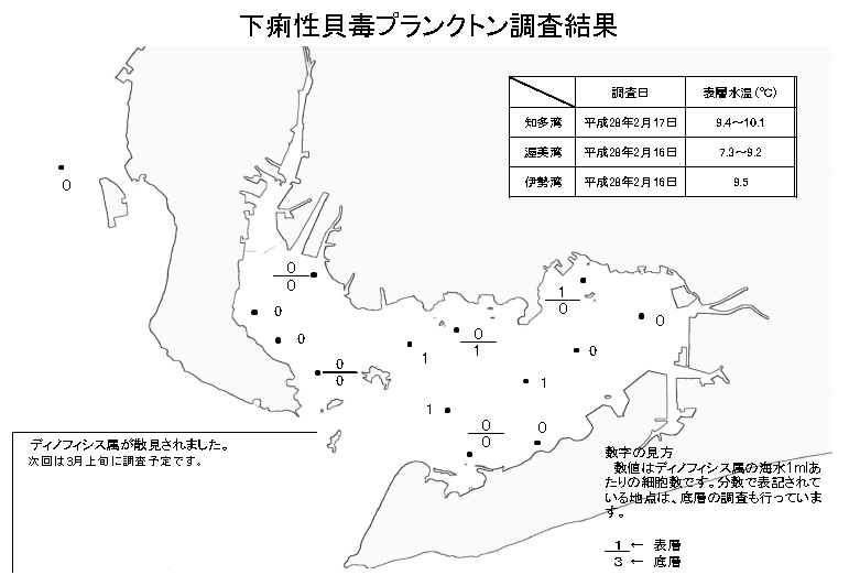 下痢性貝毒プランクトン調査結果20160217