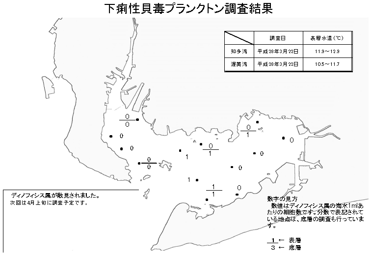 下痢性貝毒プランクトン調査結果20160322