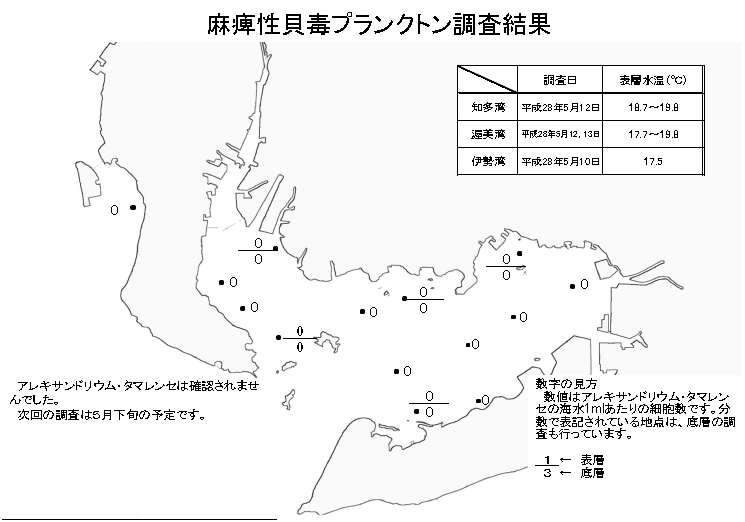 麻痺性貝毒プランクトン調査結果20160513