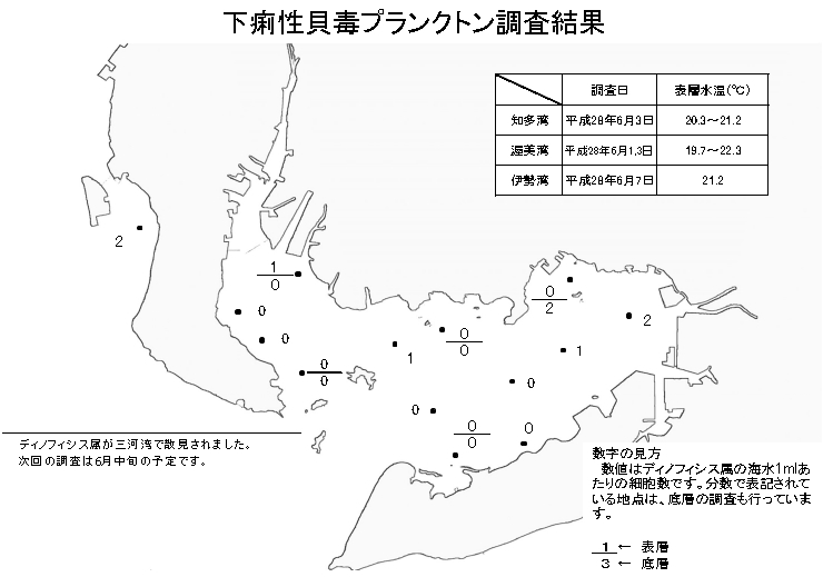 下痢性貝毒プランクトン調査結果20160607