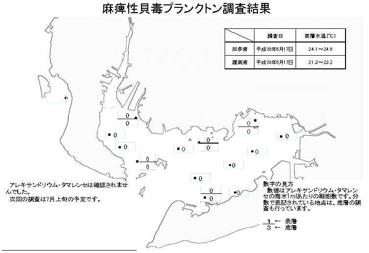 麻痺性貝毒プランクトン調査結果20160617