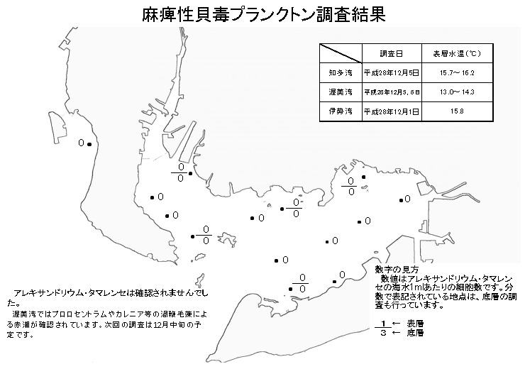 麻痺性貝毒プランクトン調査結果20161206