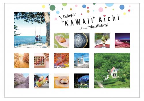 Enjoy  Kawaii  Aichi