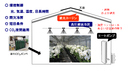 コチョウラン栽培における統合環境制御のイメージ