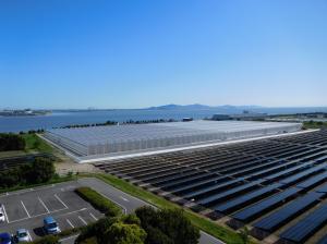 次世代施設園芸愛知県拠点