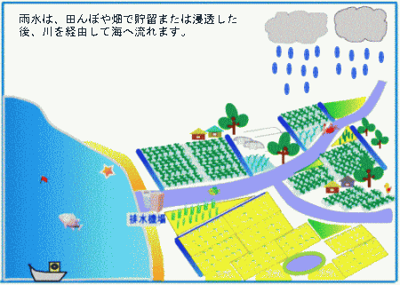 雨が川を経由して海へ流れる様子