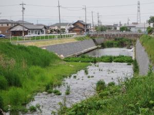 一宮市での日光川の改修状況