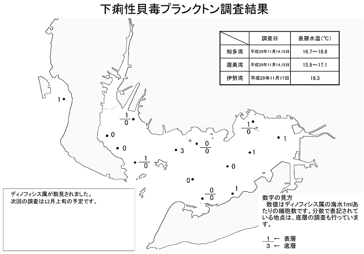 下痢性貝毒プランクトン調査結果20171117