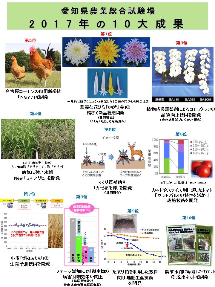 愛知県農業総合試験場２０１７年の１０大成果