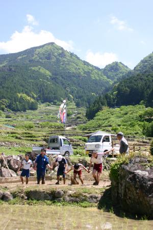 手をつないで仲良く代掻き