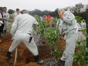 土壌断面調査