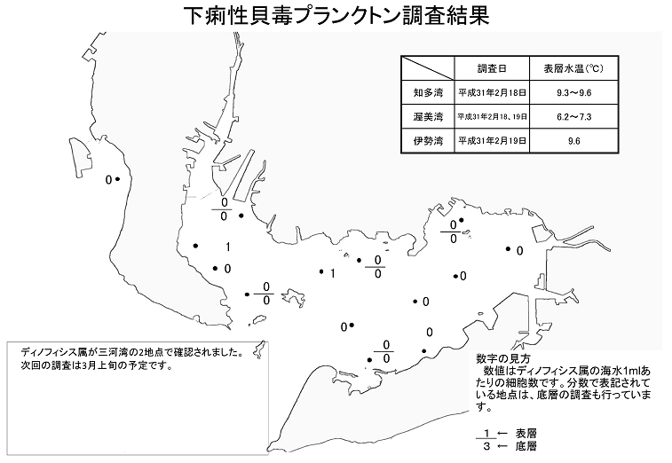 下痢性貝毒プランクトン調査結果20190218