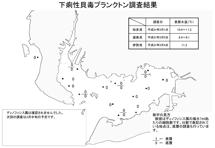 下痢性貝毒プランクトン調査結果20190305