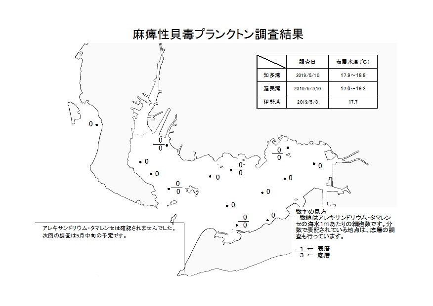 麻痺性貝毒プランクトン調査結果20190510