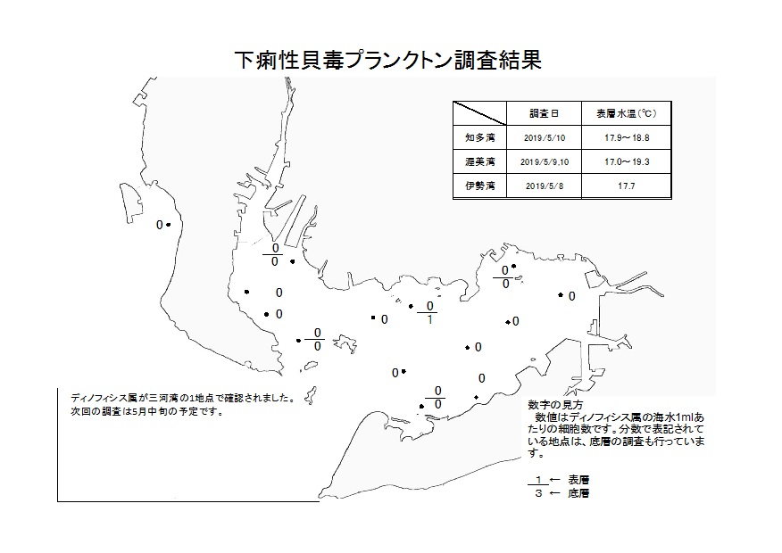 下痢性貝毒プランクトン調査結果20190510