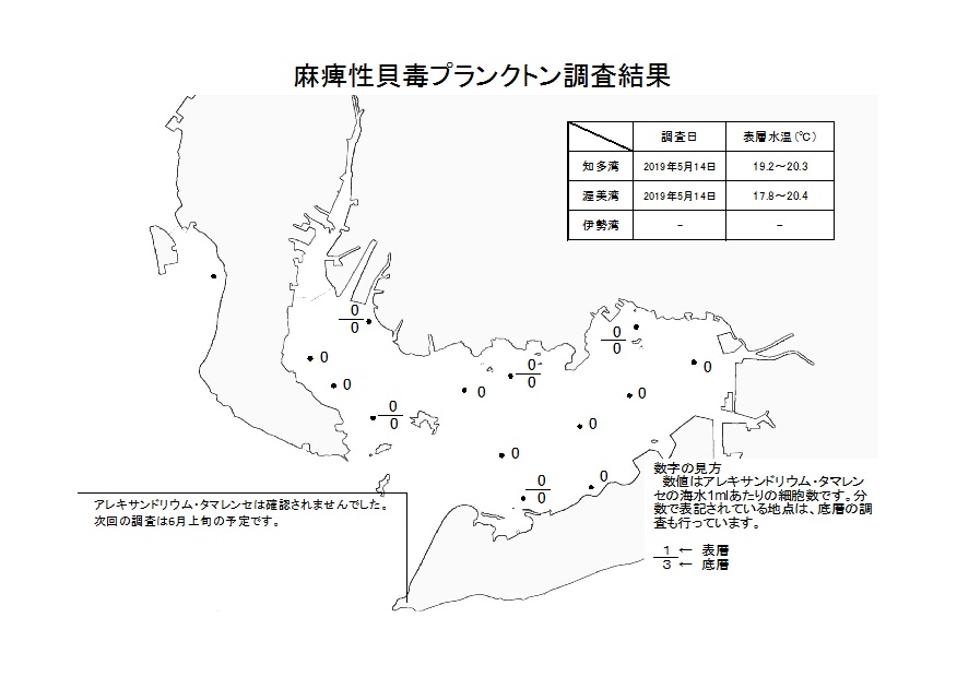 麻痺性貝毒プランクトン調査結果20190515