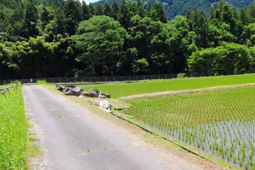 田園風景