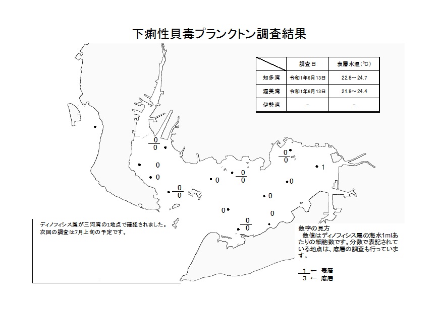 下痢性貝毒プランクトン調査結果20190613