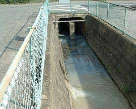 家庭排水が水路に流される様子