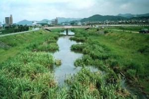 新郷瀬川（犬山市）　再生工事後