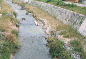 香流川（長久手市）