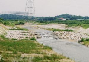 籠川（豊田市）全景