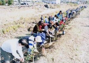 植樹作業　矢田川（瀬戸市）