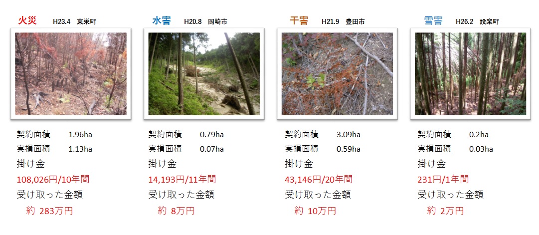 愛知県の災害事例