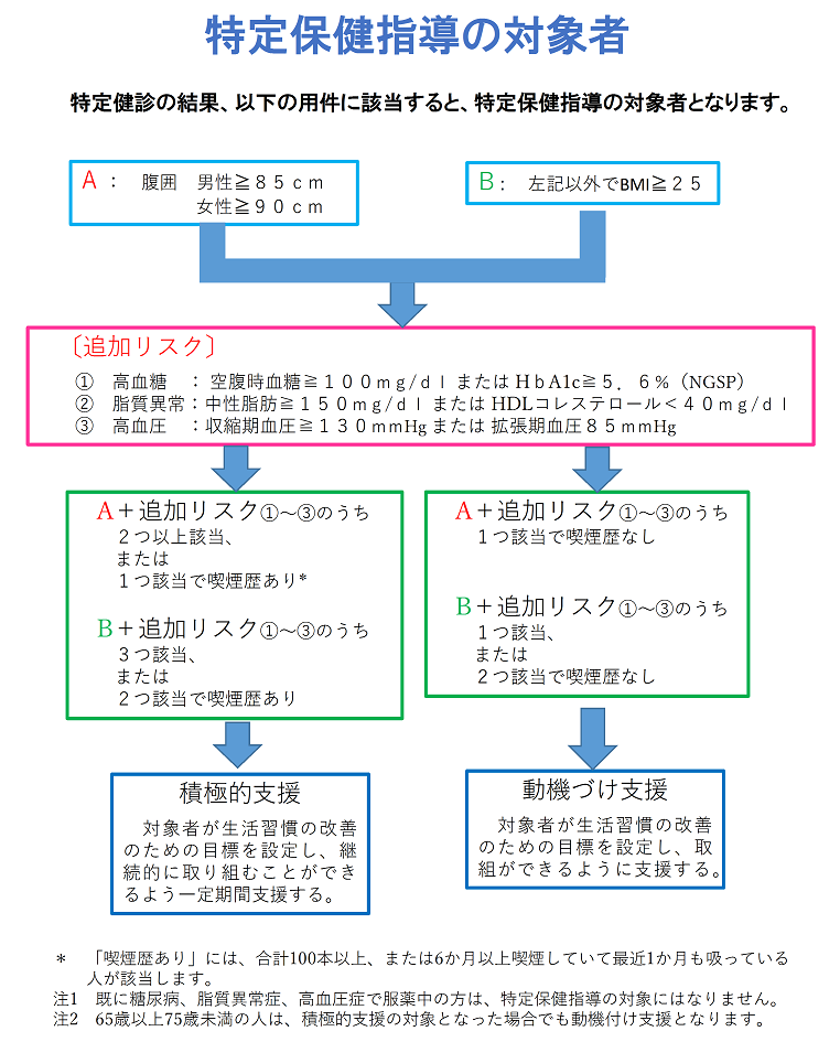 特定保健指導の流れ