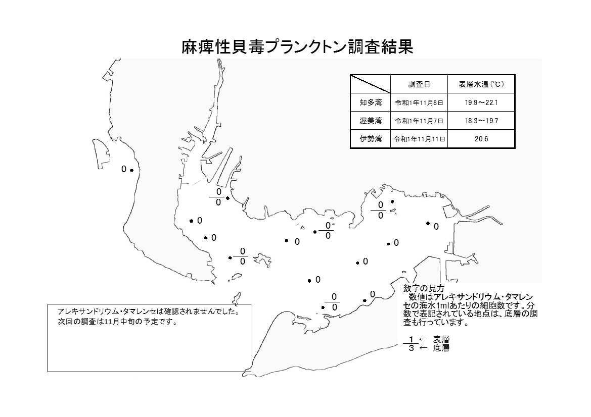 麻痺性貝毒プランクトン調査結果20191111